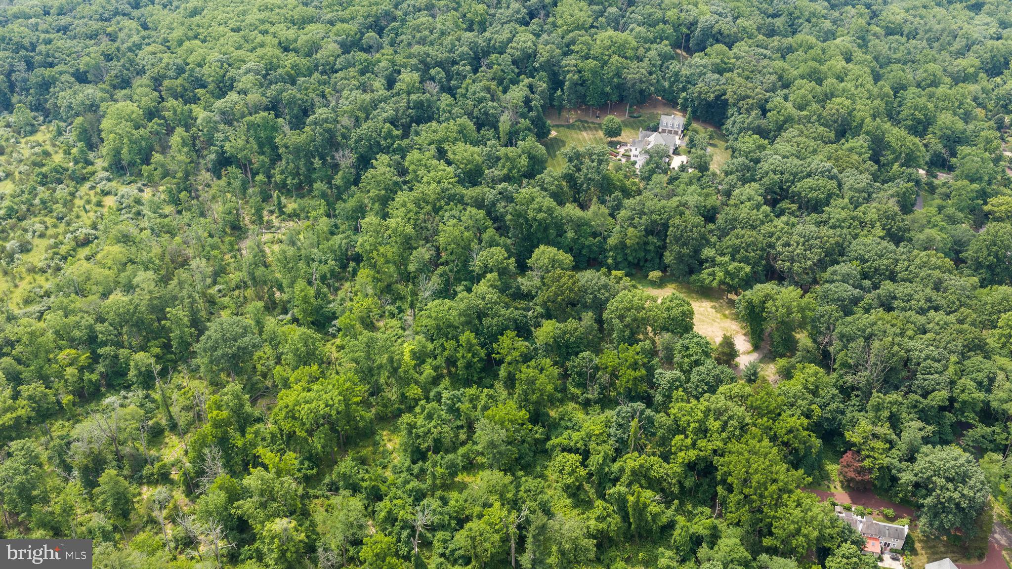 1 Warner Road New Hope, PA 18938 - Photo 12 of 13 a view of a forest that has a tree
