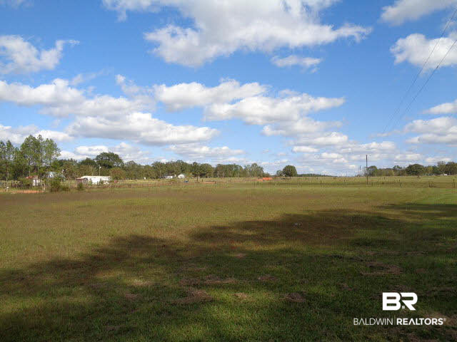 3745 Ewing Drive Atmore, AL 36502 - Photo 3 of 16 Land View 2