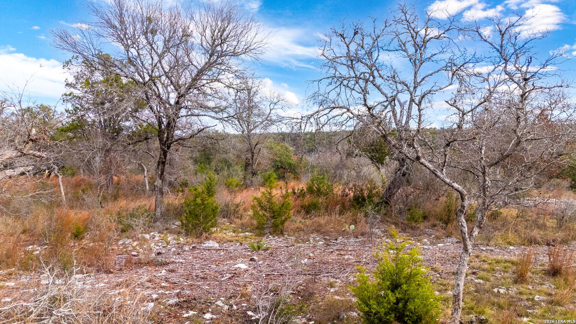 Lot 12 Landmark Ridge Bergheim, TX 78004 - Photo 9 of 16 a backyard of a house with lots of green space