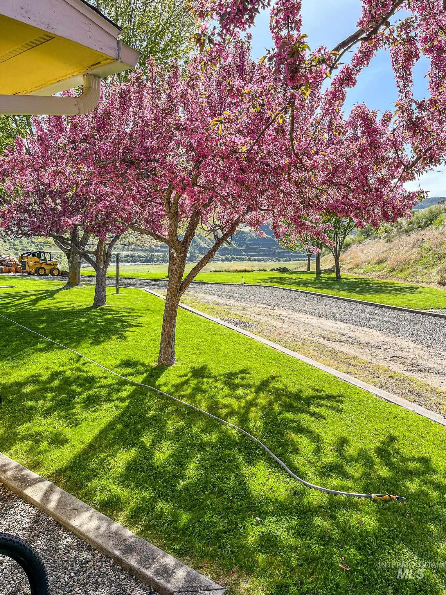 138 River Mountain Road White Bird, ID 83554 - Photo 4 of 40 Gallery Image 4