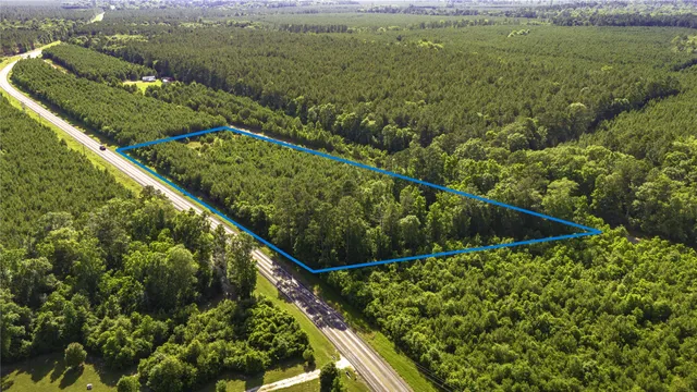 a view of a green yard with large trees