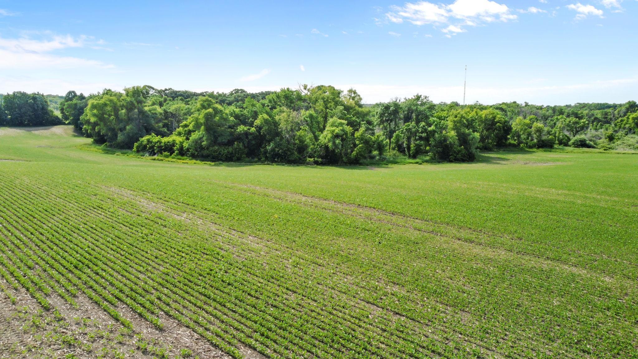 Xxxx Town Line Road Loretto, MN 55357 - Photo 13 of 14