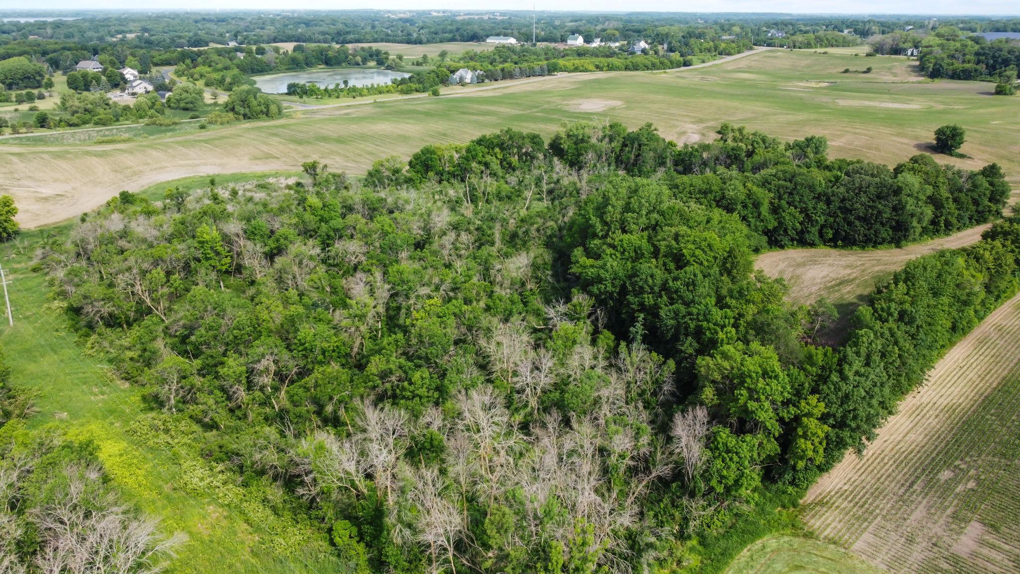 Xxxx Town Line Road Loretto, MN 55357 - Photo 8 of 14