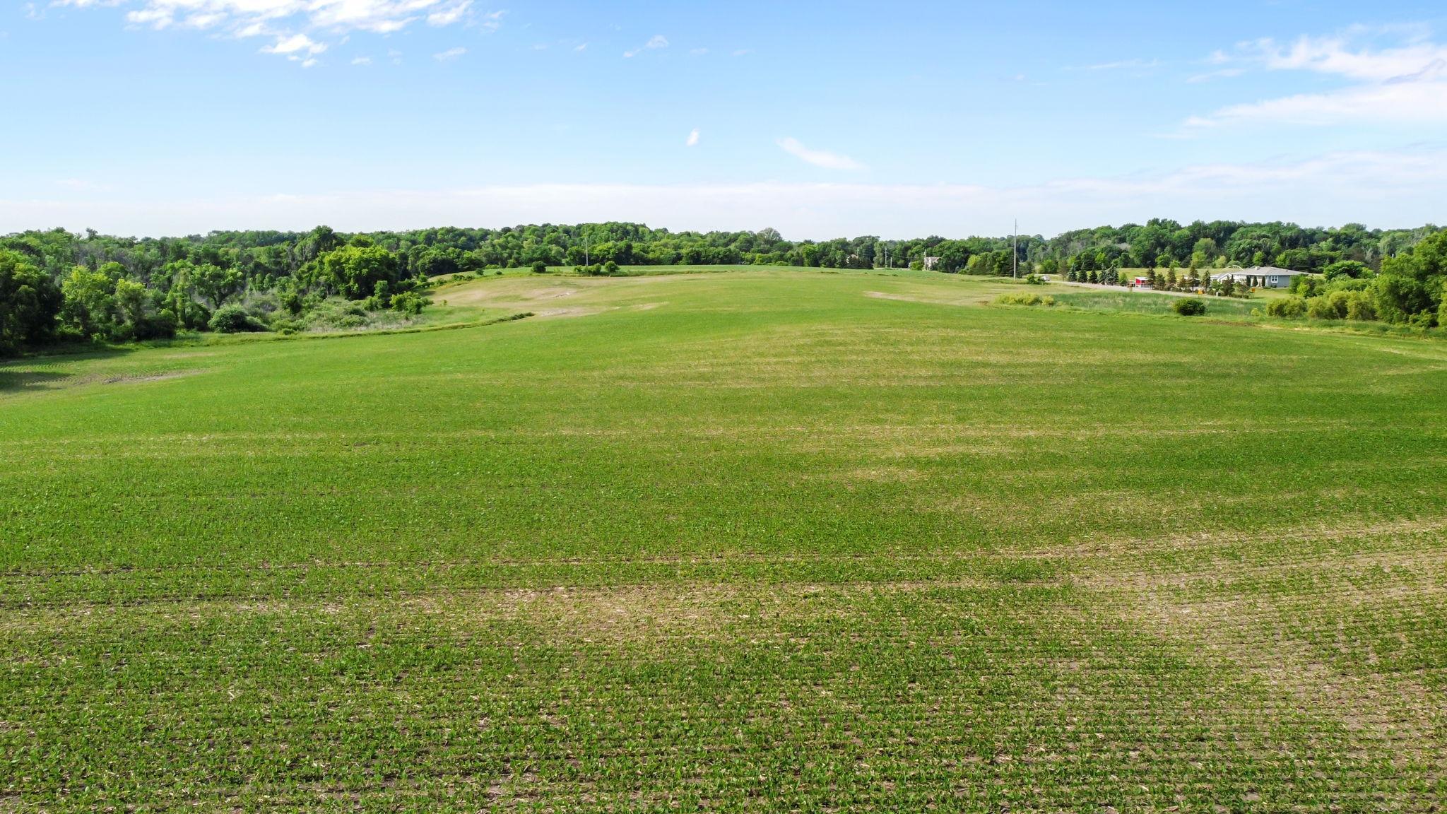 Xxxx Town Line Road Loretto, MN 55357 - Photo 9 of 14