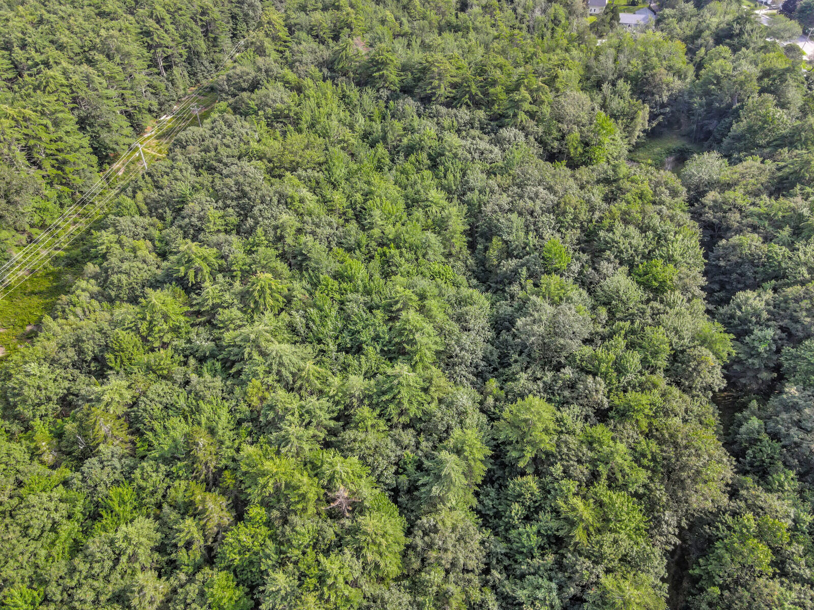 57 Winter Street Topsham, ME 04086 - Photo 185 of 202 13_DJI_0870_DxO_mls