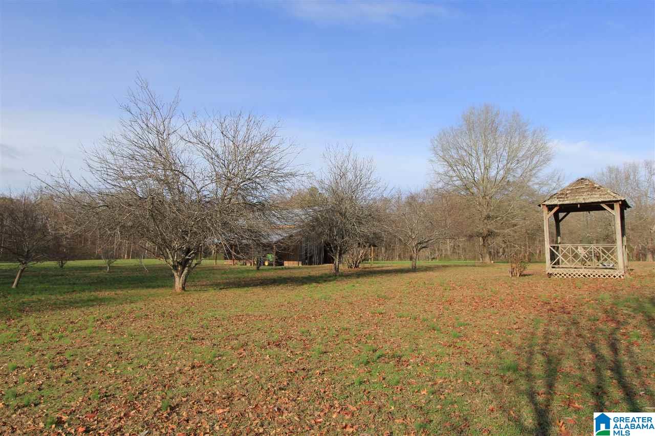 417 Willow Cove Road Oxford, AL 36203 - Photo 48 of 50