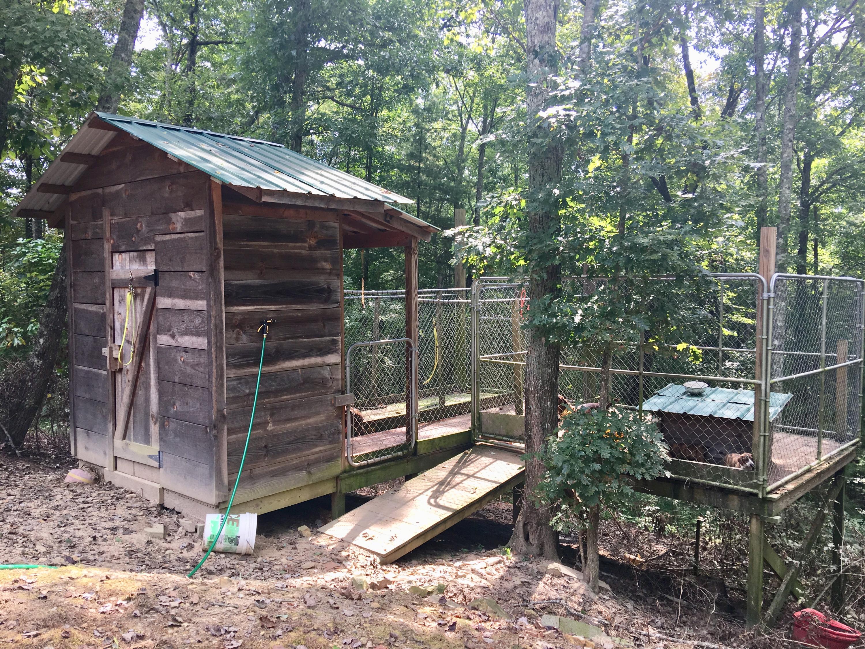 513 Morgan Ridge Road Wartburg, TN 37887 - Photo 24 of 29 IMG_1809