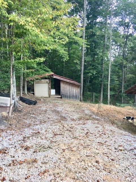 513 Morgan Ridge Road Wartburg, TN 37887 - Photo 28 of 29 IMG_1822