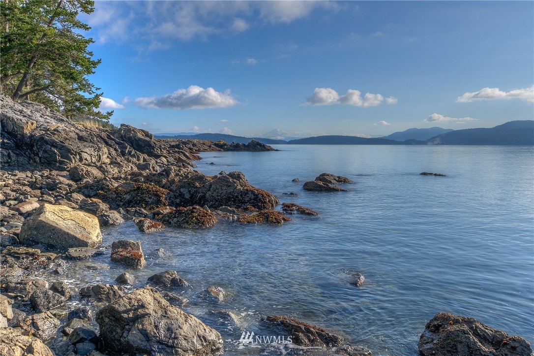 1500 Foster Point Road Orcas Island, WA 98280 - Photo 6 of 40 Gallery Image 6