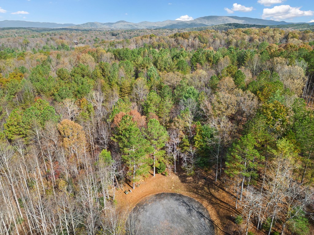 Lot 8 Highpoint Ridge Road Ellijay, GA 30536 - Photo 8 of 23 Gallery Image 8