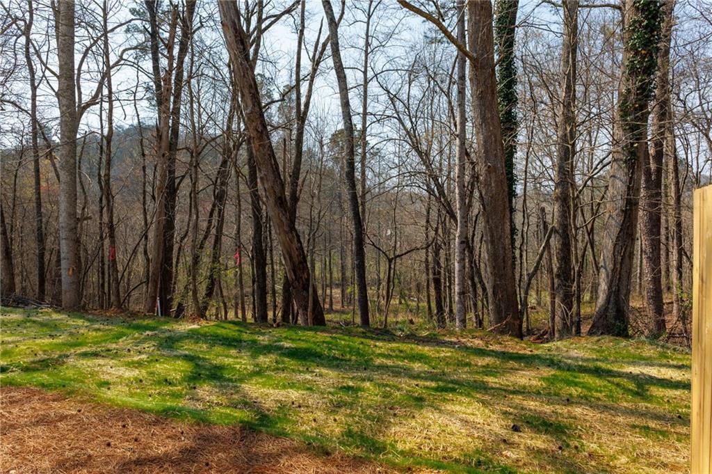 200 Back Pine Way Ellijay, GA 30536 - Photo 10 of 33