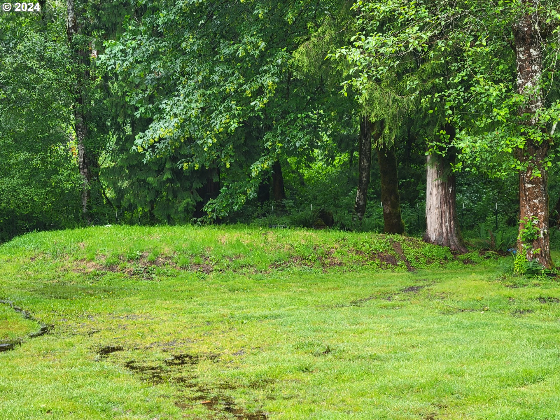 22118 East Yakima Lane Rhododendron, OR 97049 - Photo 27 of 31 a view of a grassy field with trees in the background