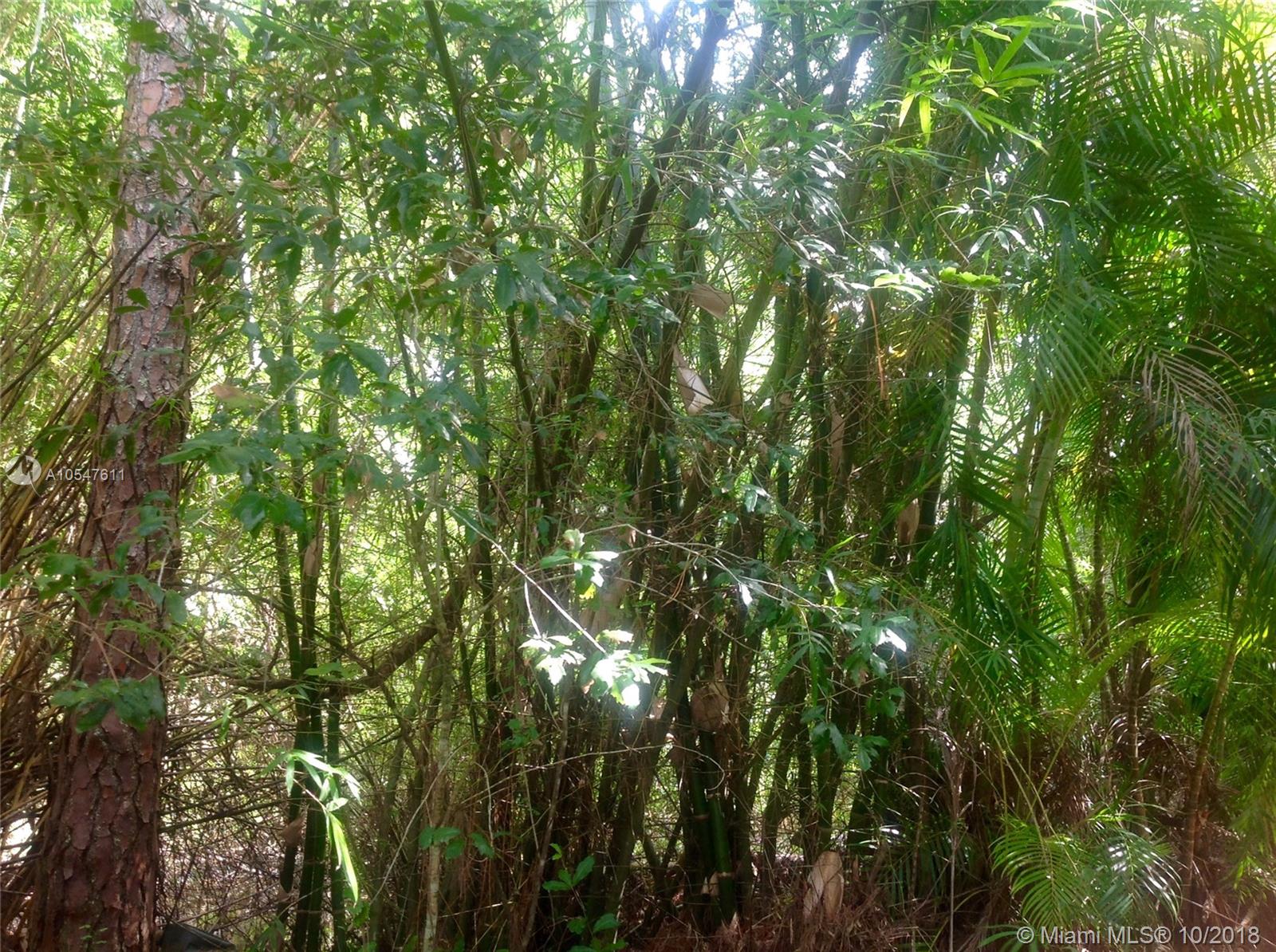 13432 153rd Road North Jupiter, FL 33478 - Photo 2 of 7