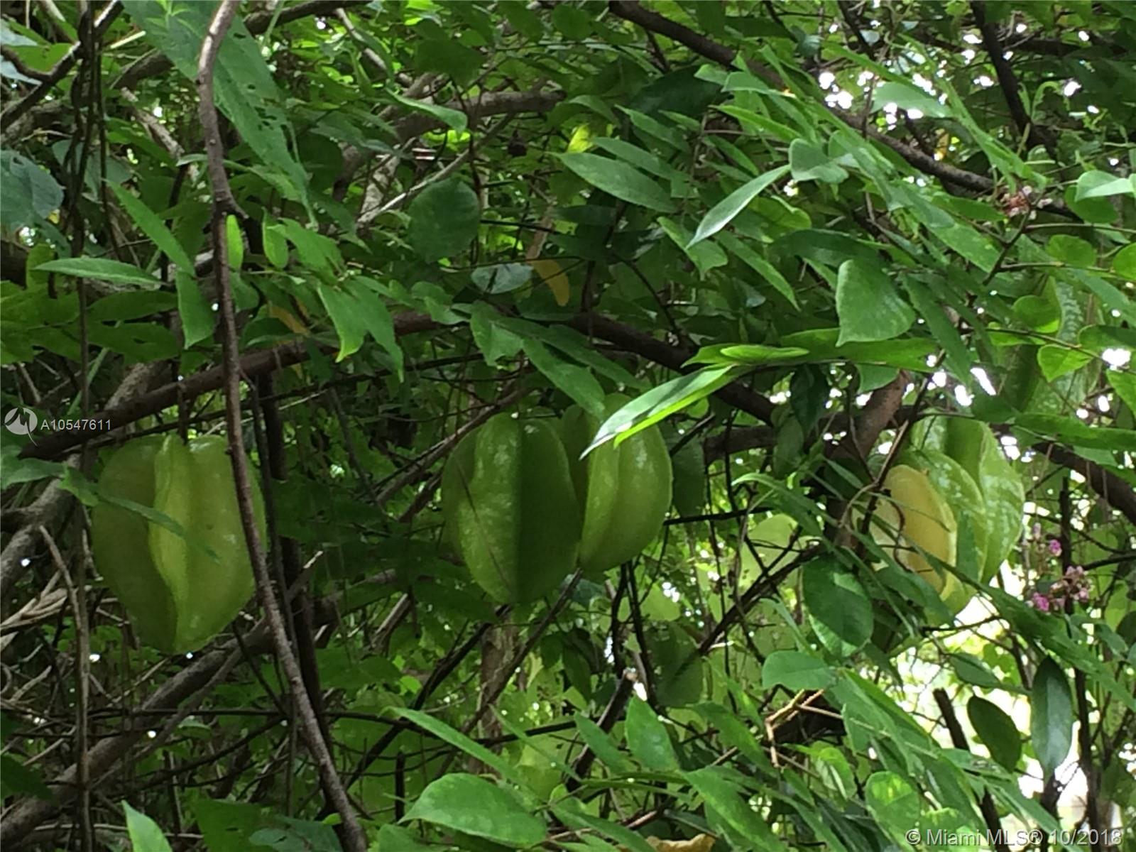 13432 153rd Road North Jupiter, FL 33478 - Photo 6 of 7