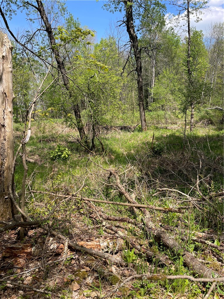1-20 Sternberg Road Jefferson, NY 12093 - Photo 6 of 12