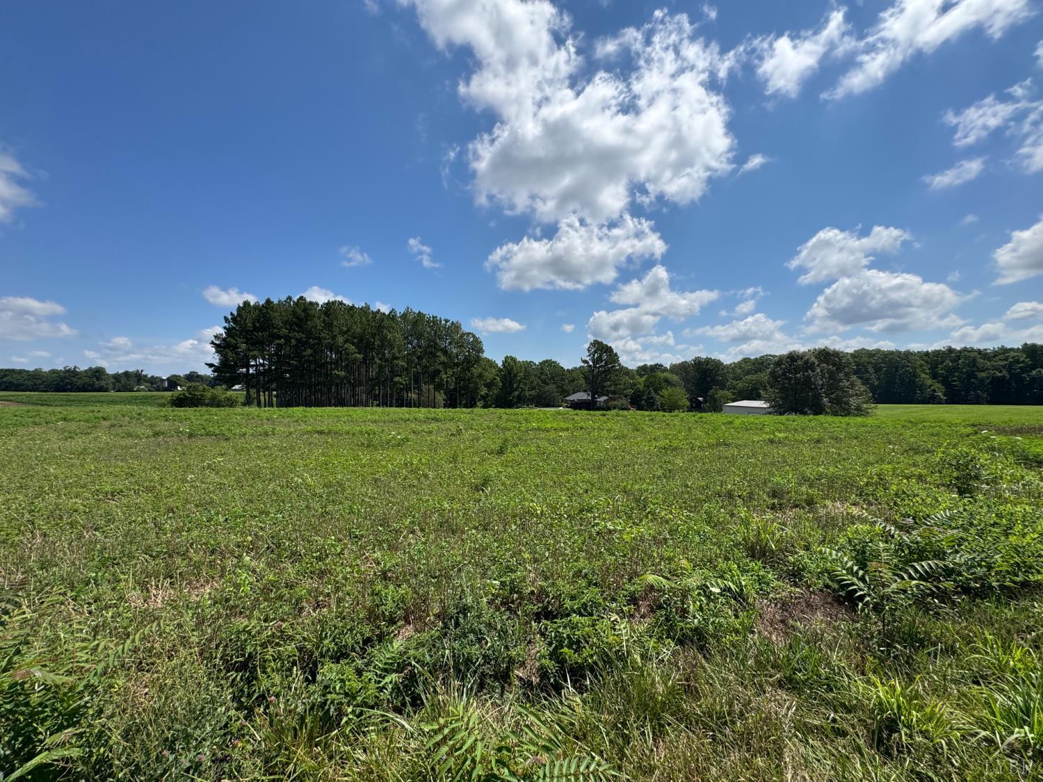 248 Willow Oak Road Appomattox, VA 24522 - Photo 27 of 30