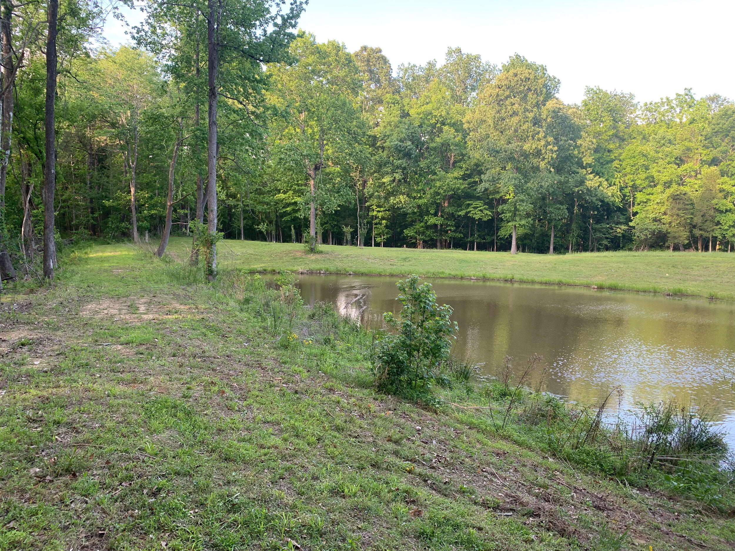 406 Lakewood Road, Unit TRACT 2 Princeton, KY 42445 - Photo 20 of 31 20260504-IMG_8706