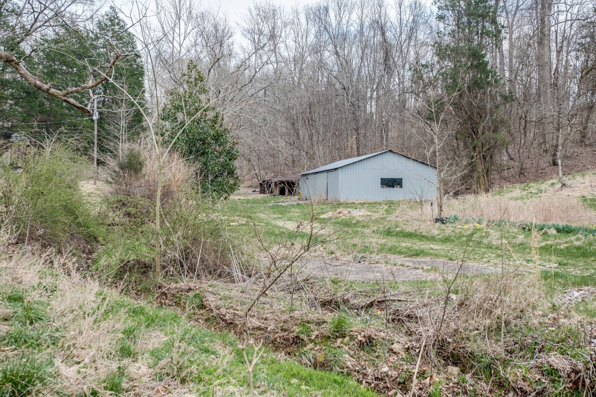 2434 Greenbriar Road Waverly, TN 37185 - Photo 4 of 21 a backyard of a house with lots of green space and plants