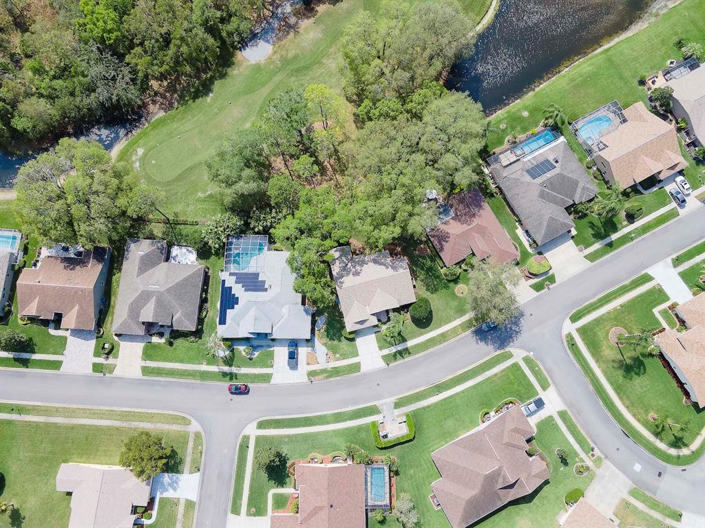 9744 Springmeadow Drive New Port Richey, FL 34655 - Photo 38 of 55 Gallery Image 38