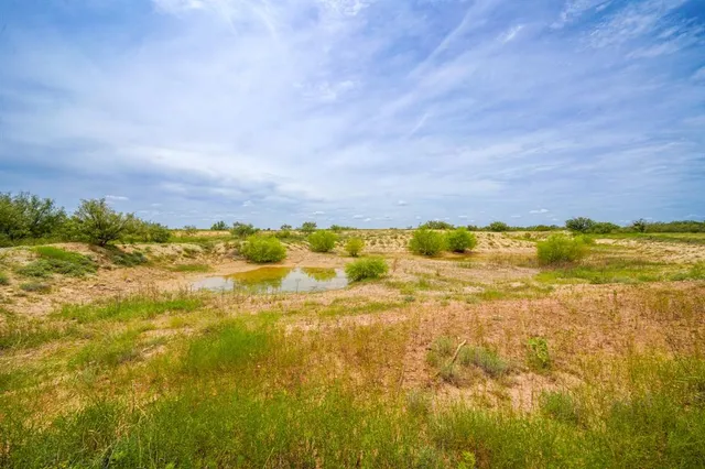 a view of an ocean beach