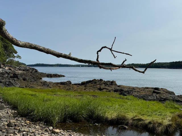 Lot C Long Point Road Harpswell, ME 04079 - Photo 1 of 36 unnamed-13