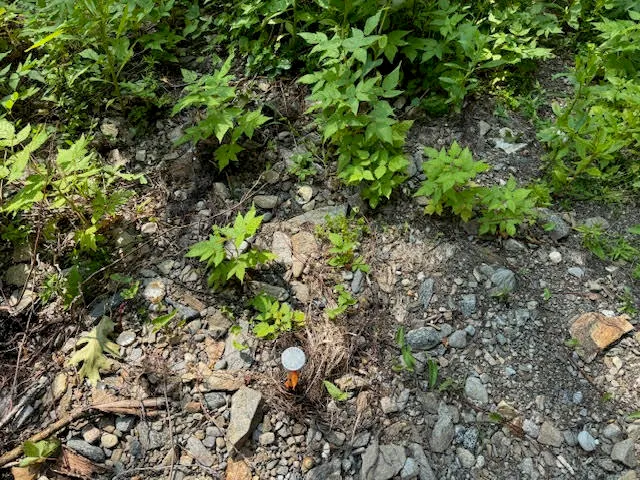 $253,000 | Lot C Long Point Road, Harpswell, ME 04079