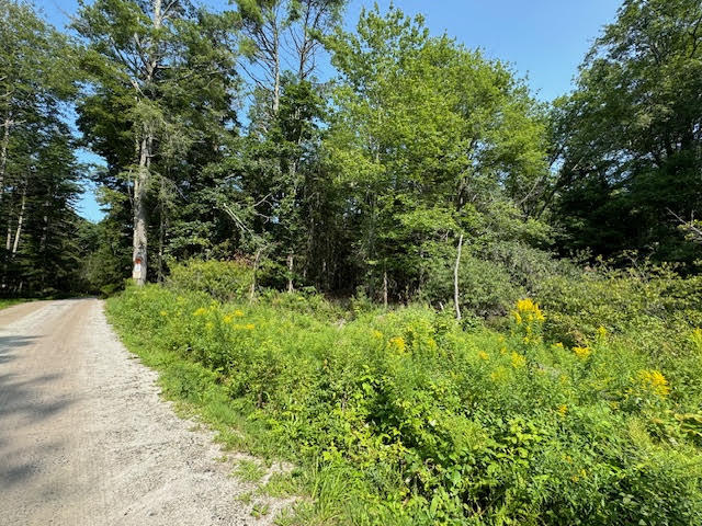 Lot C Long Point Road Harpswell, ME 04079 - Photo 15 of 36 unnamed-3 copy