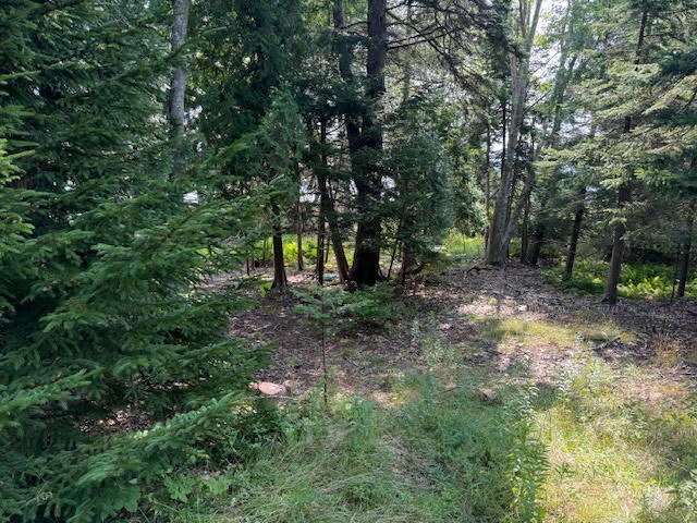 Lot C Long Point Road Harpswell, ME 04079 - Photo 18 of 36 unnamed copy