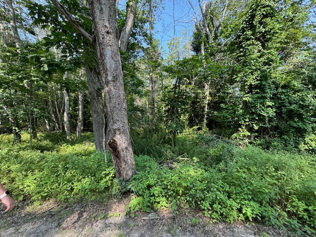 Lot C Long Point Road Harpswell, ME 04079 - Photo 20 of 36 unnamed copy 2