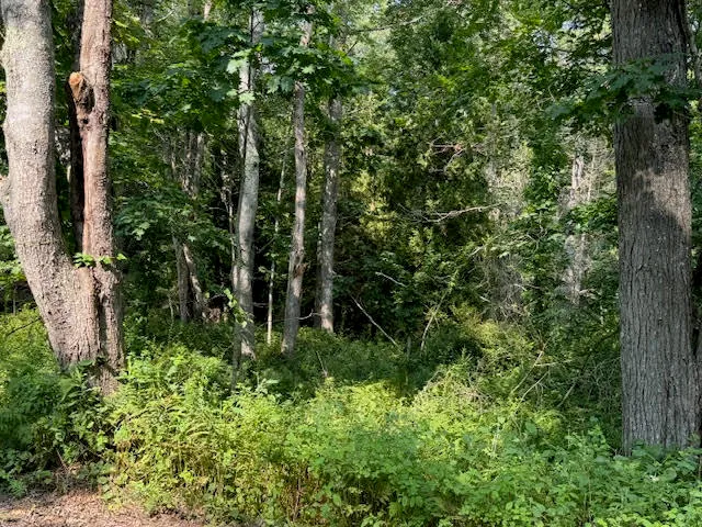 $253,000 | Lot C Long Point Road, Harpswell, ME 04079