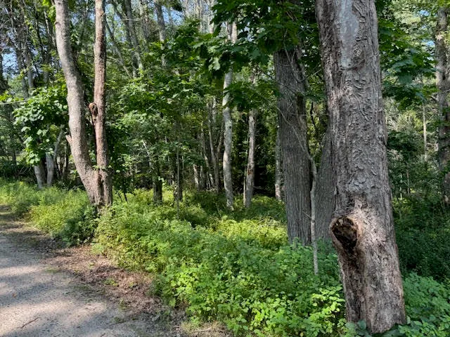 $253,000 | Lot C Long Point Road, Harpswell, ME 04079
