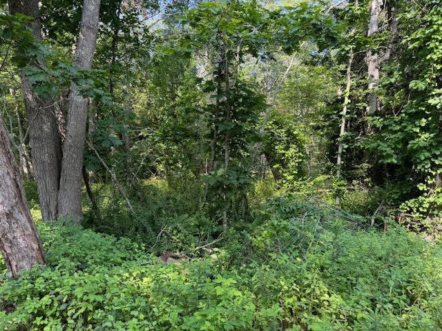 Lot C Long Point Road Harpswell, ME 04079 - Photo 27 of 36 unnamed-16