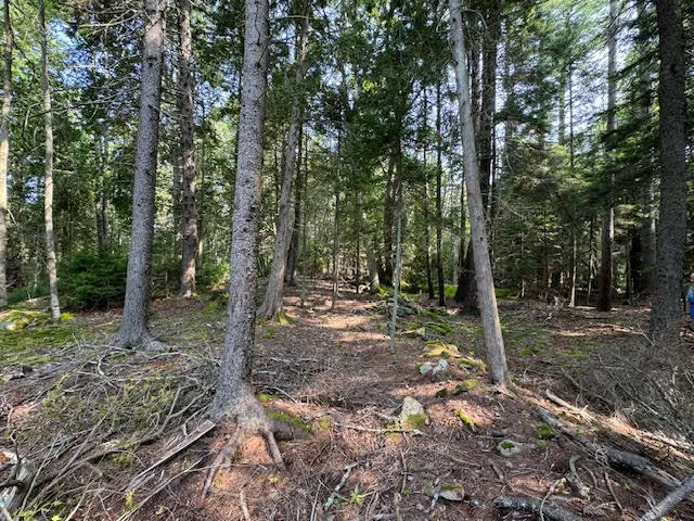 $253,000 | Lot C Long Point Road, Harpswell, ME 04079