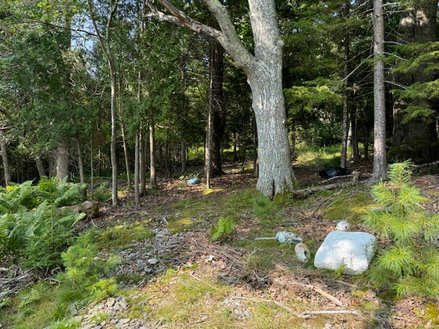 Lot C Long Point Road Harpswell, ME 04079 - Photo 32 of 36 unnamed-6