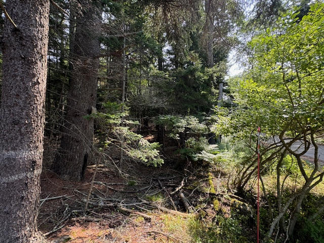 Lot C Long Point Road Harpswell, ME 04079 - Photo 33 of 36 unnamed-6 copy