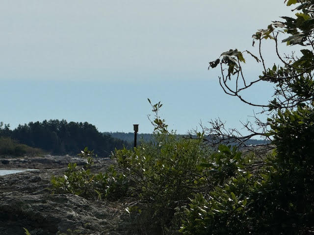 Lot C Long Point Road Harpswell, ME 04079 - Photo 6 of 36 unnamed-9