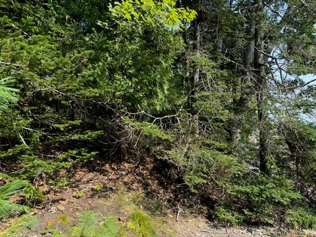 $253,000 | Lot C Long Point Road, Harpswell, ME 04079
