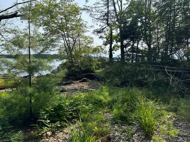 $253,000 | Lot C Long Point Road, Harpswell, ME 04079