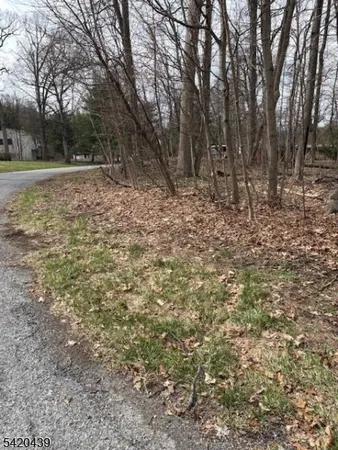 a view of a yard with trees