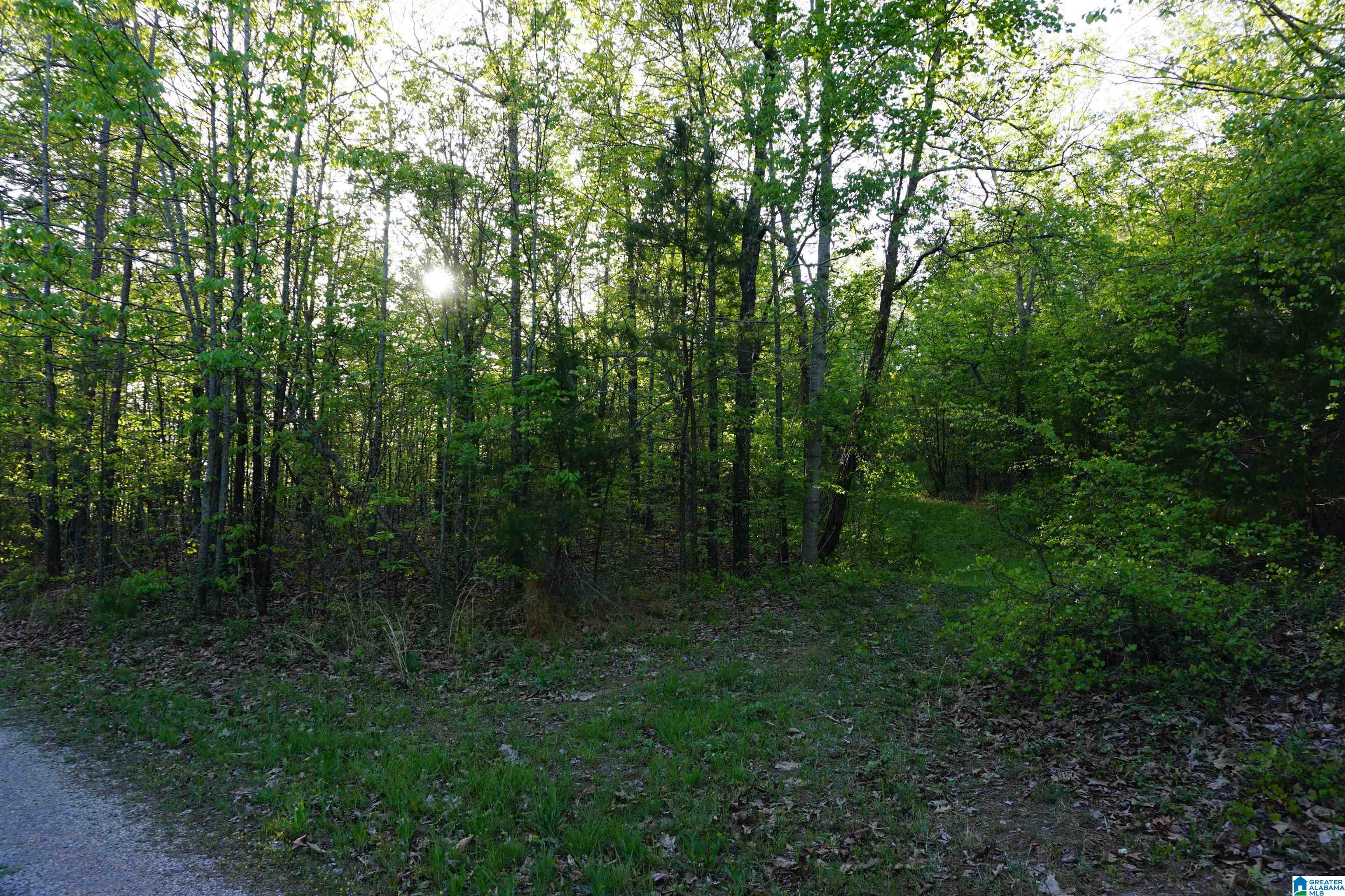 834 Mt Gilead Road Jacksonville, AL 36265 - Photo 26 of 26