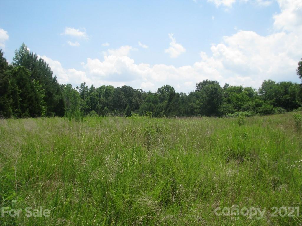 118 Bobby Butler Road Chester, SC 29706 - Photo 11 of 15 a view of a lush green field