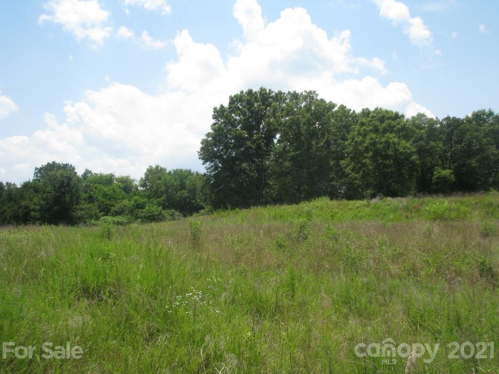 118 Bobby Butler Road Chester, SC 29706 - Photo 12 of 15 a view of an outdoor space and a yard