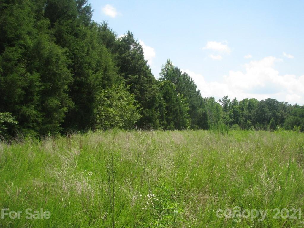 118 Bobby Butler Road Chester, SC 29706 - Photo 13 of 15