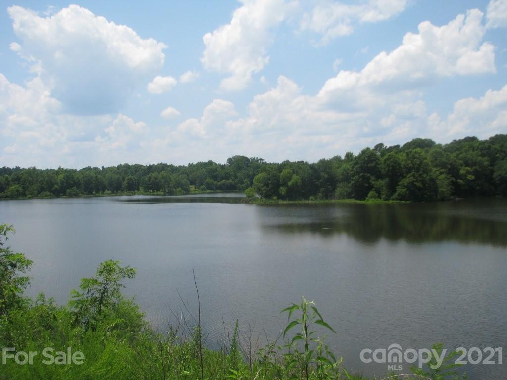 118 Bobby Butler Road Chester, SC 29706 - Photo 15 of 15 a view of a lake