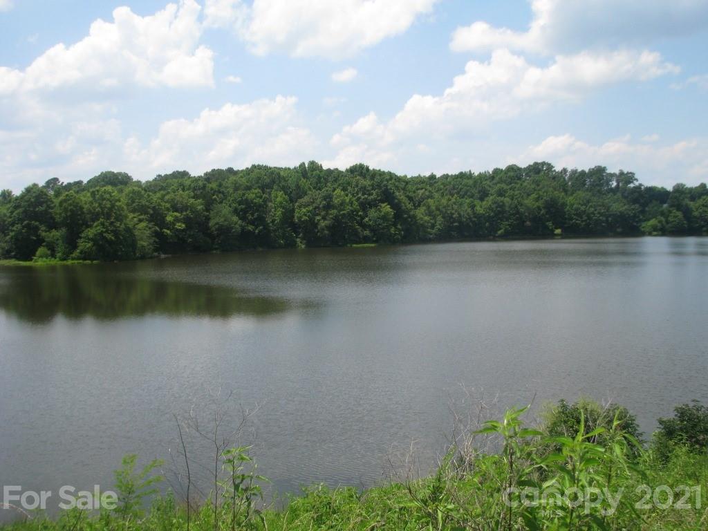 118 Bobby Butler Road Chester, SC 29706 - Photo 5 of 15 a view of a lake