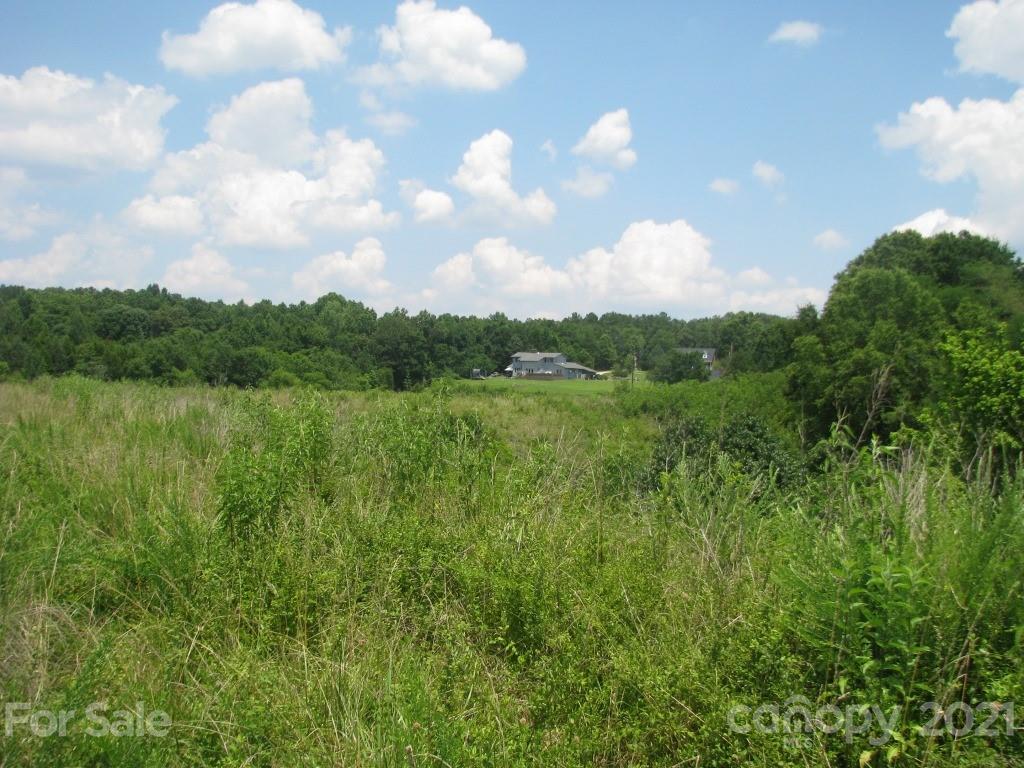 118 Bobby Butler Road Chester, SC 29706 - Photo 8 of 15 a view of a lake with green space