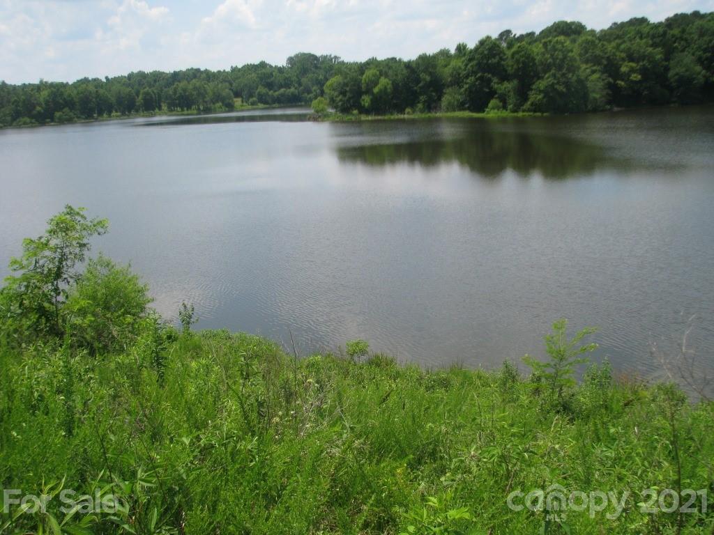 118 Bobby Butler Road Chester, SC 29706 - Photo 9 of 15 a view of a lake with a mountain