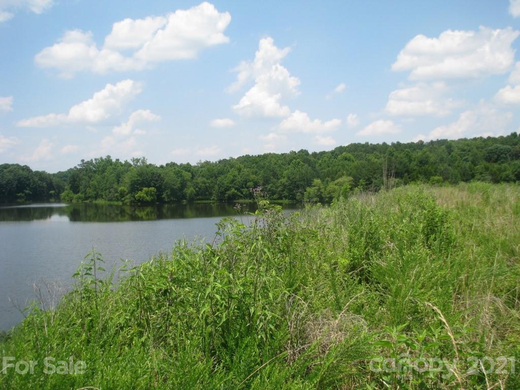 118 Bobby Butler Road Chester, SC 29706 - Photo 10 of 15 a view of lake with green space