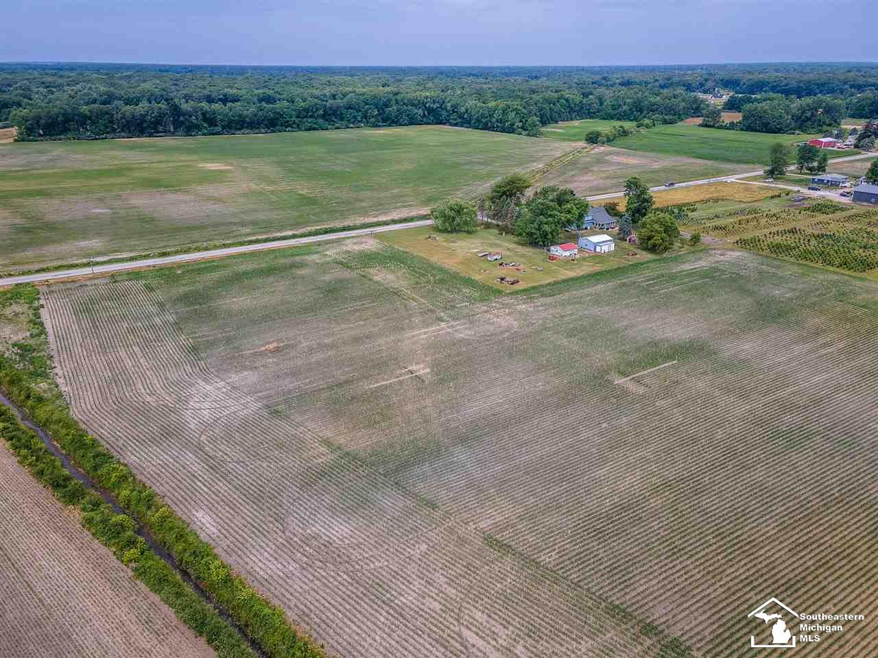0 Douglas Road Ida, MI 48140 - Photo 10 of 14
