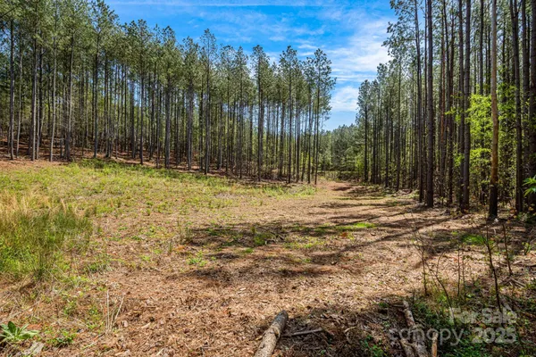 $37,900 | 19 Sunset Drive, Unit 19, Mill Spring, NC 28756